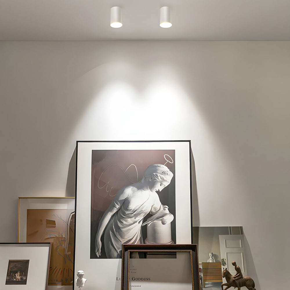 Ceiling Light Modern Aluminum LED Downlight