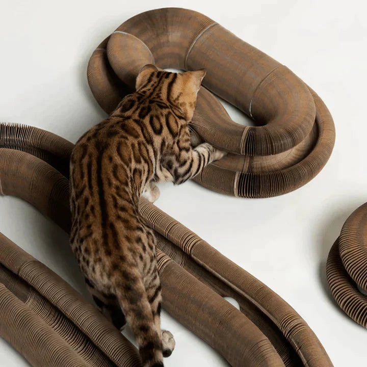 PurrPlay™ Cat Scratcher Toy – Interactive, Durable & Healthy Fun for Cats