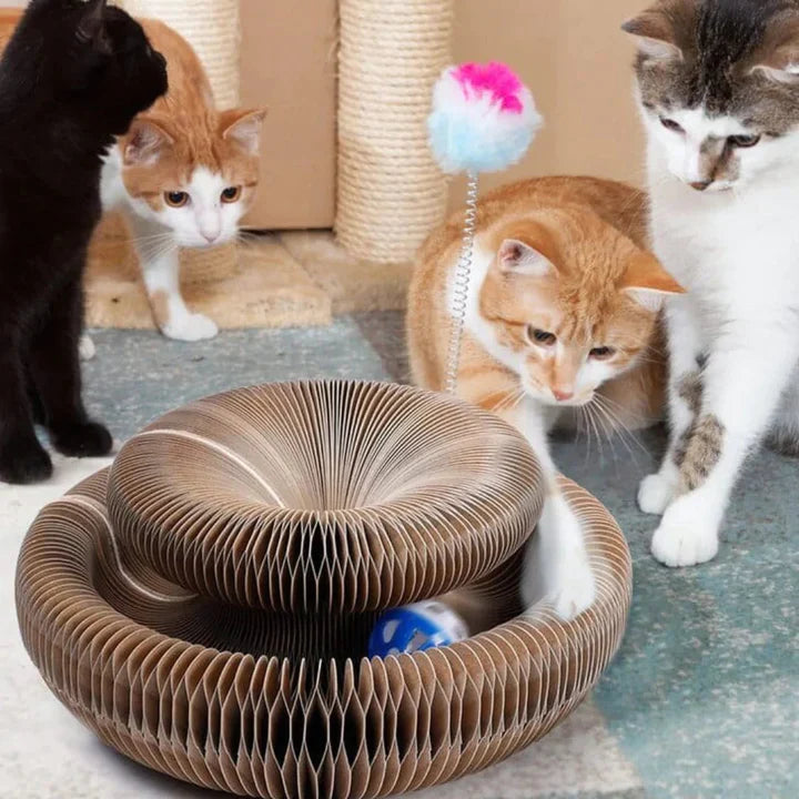 PurrPlay™ Cat Scratcher Toy – Interactive, Durable & Healthy Fun for Cats
