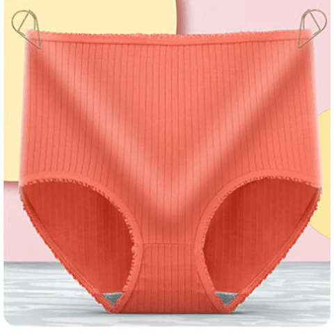 DryComfort™ Women’s Leak-Proof Brief Set