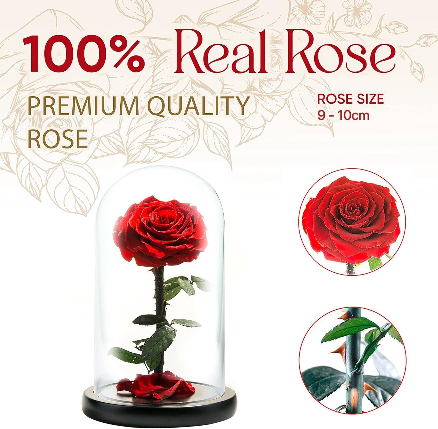 Preserved Real Rose in Glass Dome – Eternal Rose Gift for Her – Perfect for Special Occasions
