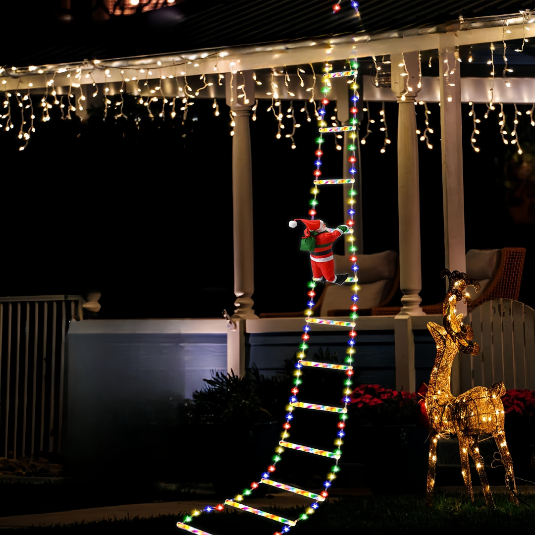 Christmas Lights Climbing Santa Ladder Display