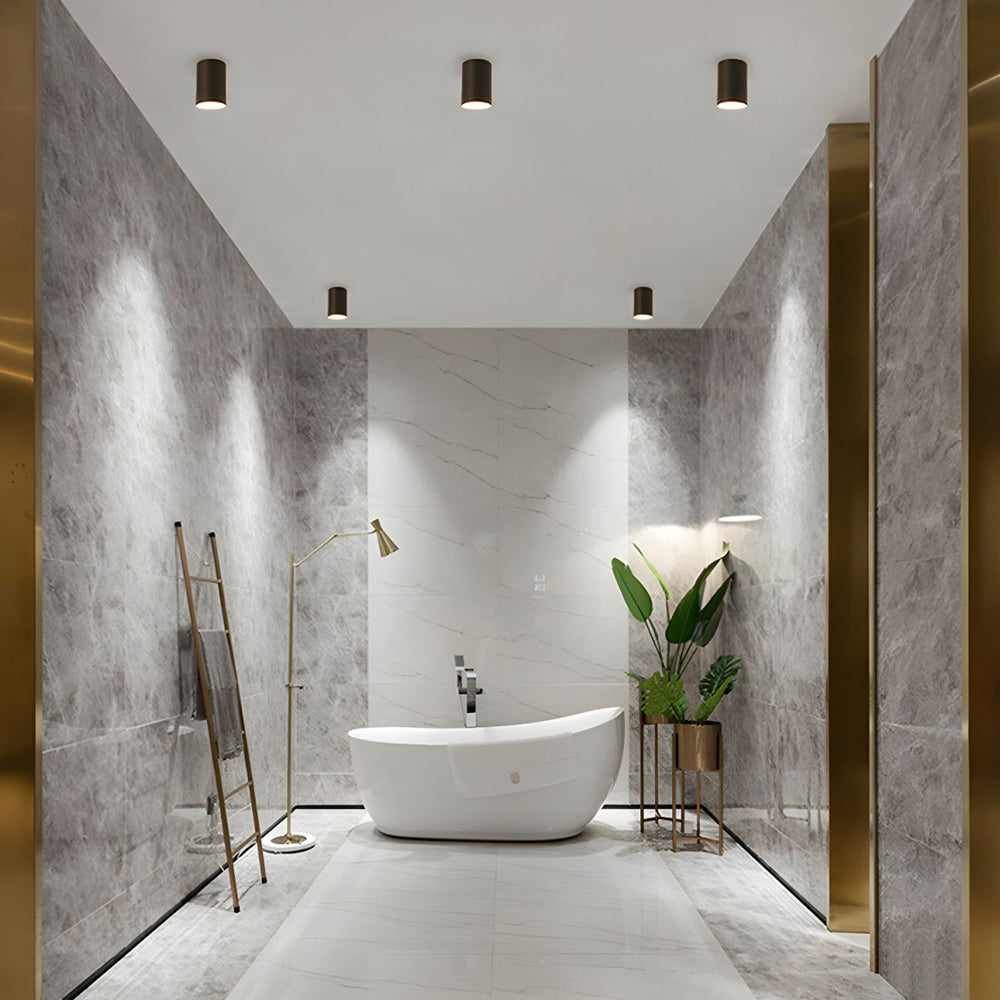 Ceiling Light Modern Aluminum LED Downlight