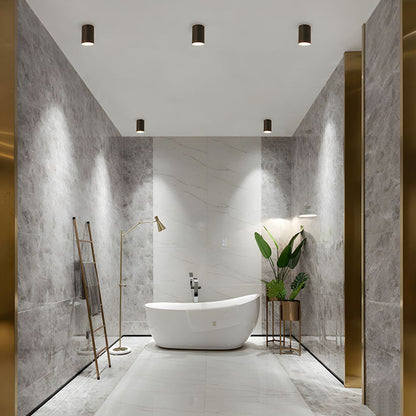 Ceiling Light Modern Aluminum LED Downlight