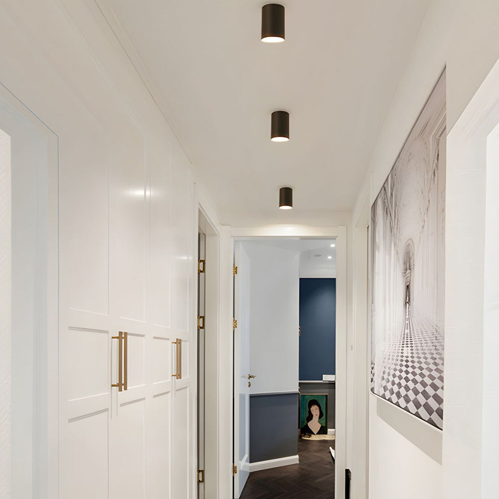 Ceiling Light Modern Aluminum LED Downlight