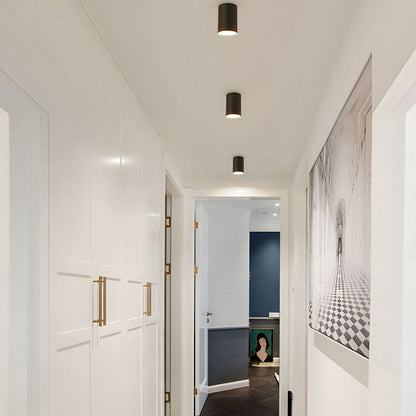 Ceiling Light Modern Aluminum LED Downlight