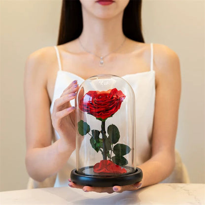 Preserved Real Rose in Glass Dome – Eternal Rose Gift for Her – Perfect for Special Occasions