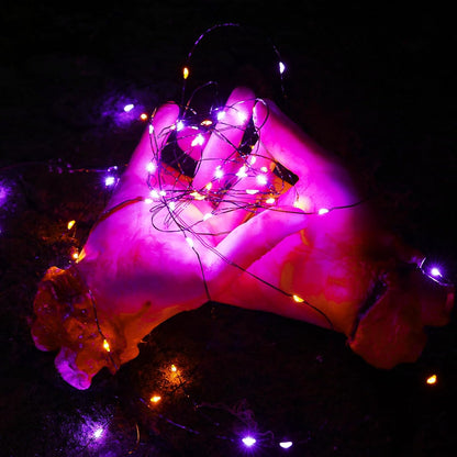 Outdoor Solar Powered Red Fairy Lights