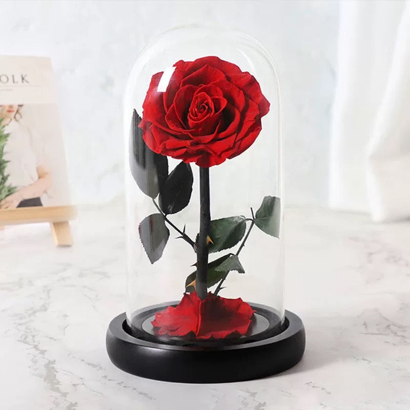 Preserved Real Rose in Glass Dome – Eternal Rose Gift for Her – Perfect for Special Occasions