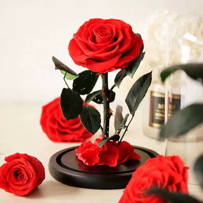 Preserved Real Rose in Glass Dome – Eternal Rose Gift for Her – Perfect for Special Occasions