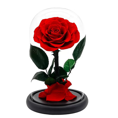 Preserved Real Rose in Glass Dome – Eternal Rose Gift for Her – Perfect for Special Occasions
