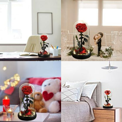 Preserved Real Rose in Glass Dome – Eternal Rose Gift for Her – Perfect for Special Occasions
