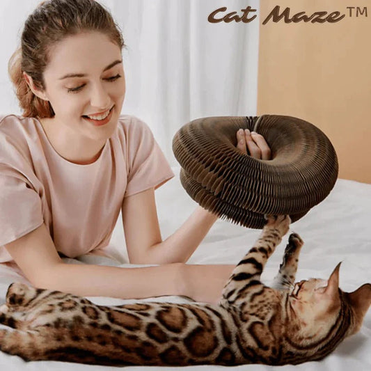 PurrPlay™ Cat Scratcher Toy – Interactive, Durable & Healthy Fun for Cats
