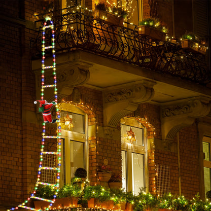 Christmas Lights Climbing Santa Ladder Display