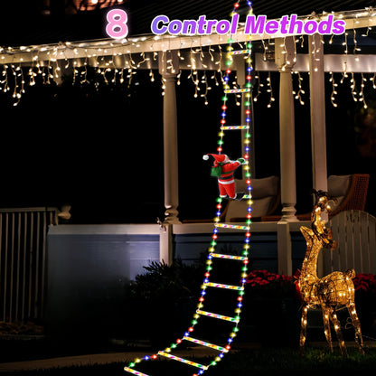 Christmas Lights Climbing Santa Ladder Display