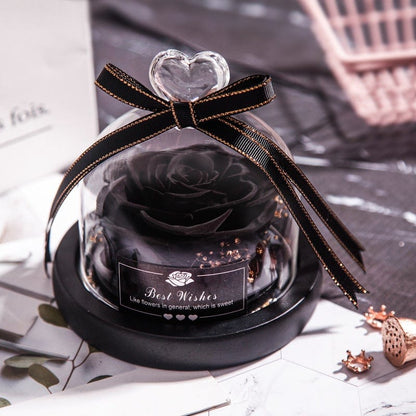Eternal Dried Rose in Glass with LED Light – Romantic Valentine’s Day Gift