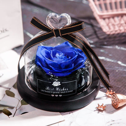 Eternal Dried Rose in Glass with LED Light – Romantic Valentine’s Day Gift