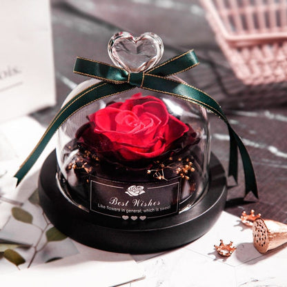 Eternal Dried Rose in Glass with LED Light – Romantic Valentine’s Day Gift