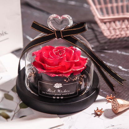 Eternal Dried Rose in Glass with LED Light – Romantic Valentine’s Day Gift
