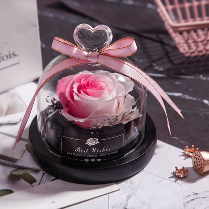 Eternal Dried Rose in Glass with LED Light – Romantic Valentine’s Day Gift
