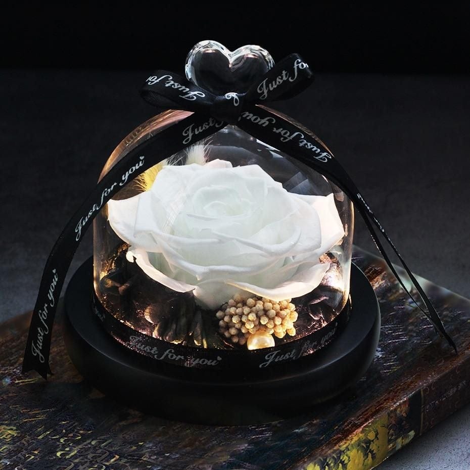 Eternal Dried Rose in Glass with LED Light – Romantic Valentine’s Day Gift