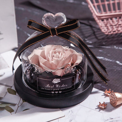 Eternal Dried Rose in Glass with LED Light – Romantic Valentine’s Day Gift