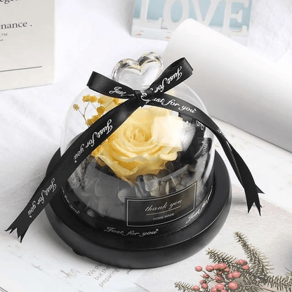 Eternal Dried Rose in Glass with LED Light – Romantic Valentine’s Day Gift