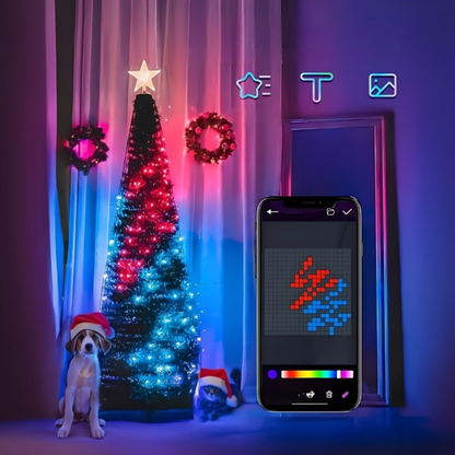 Indoor Outdoor LED Christmas Lights